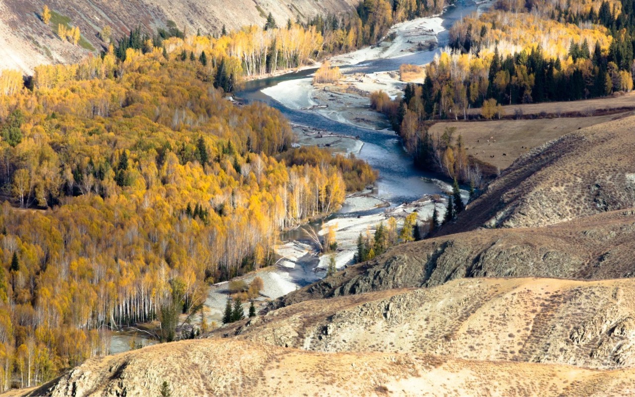 新疆，神秘美丽的土地之旅