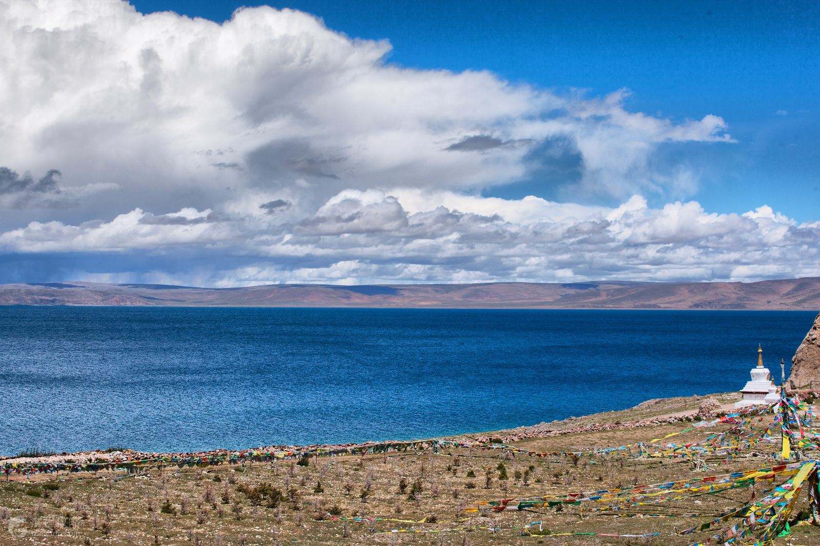 探寻西藏神秘魅力之旅 🏔️✨