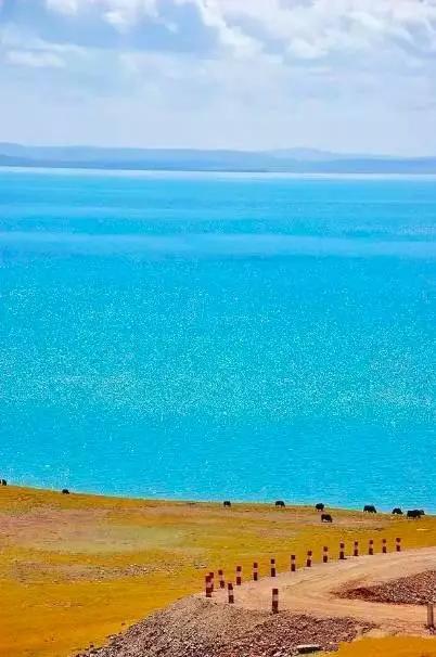 青海，心灵净土的纯净之旅